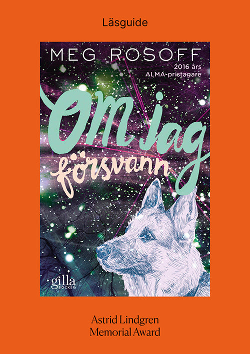 Läsguide till Om jag försvann